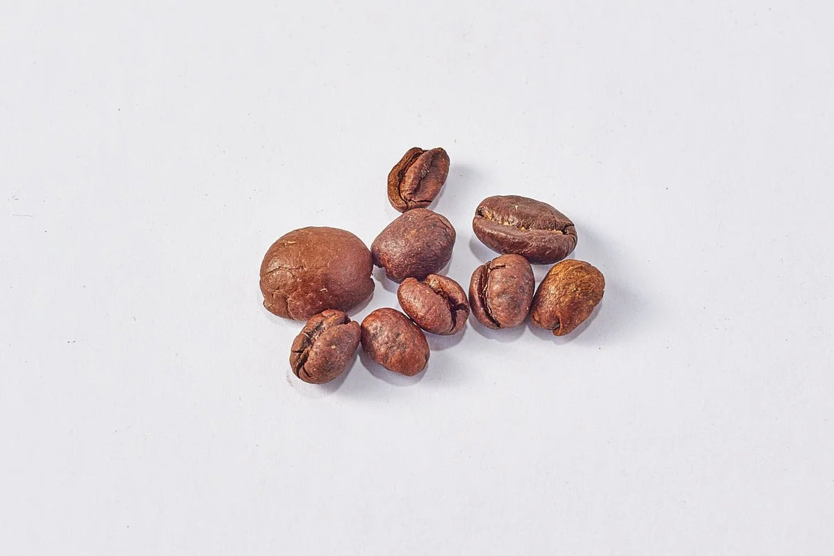 MW Decaf - Café Descafeinado Libre De Químicos | 1 kg
