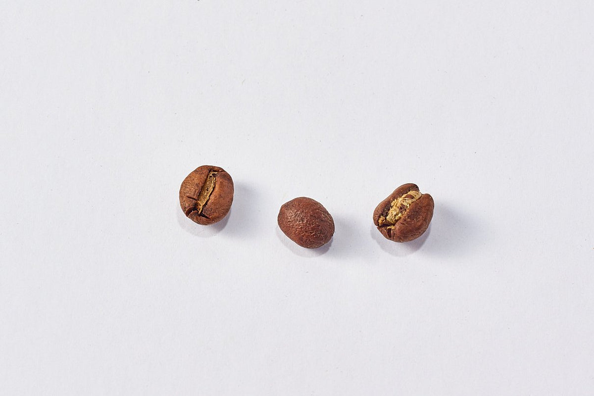 Stradale - Café Orgánico Especialidad Tueste Australiano | 1 kg