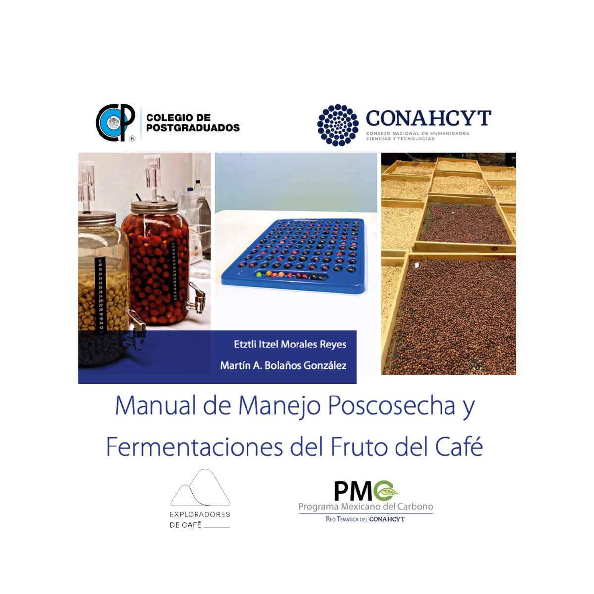 Manual de Manejo Poscosecha y Fermentaciones del Fruto del Café. Dra. Itzel Morales