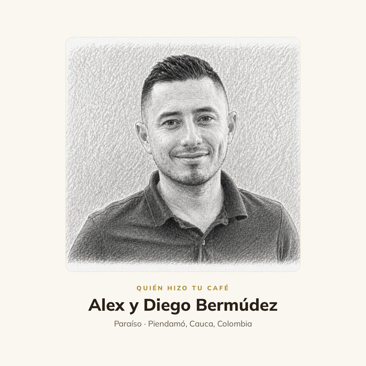 Durazno Rosa - Café Especialidad Estilo Moderno | 250 g y 1 kg