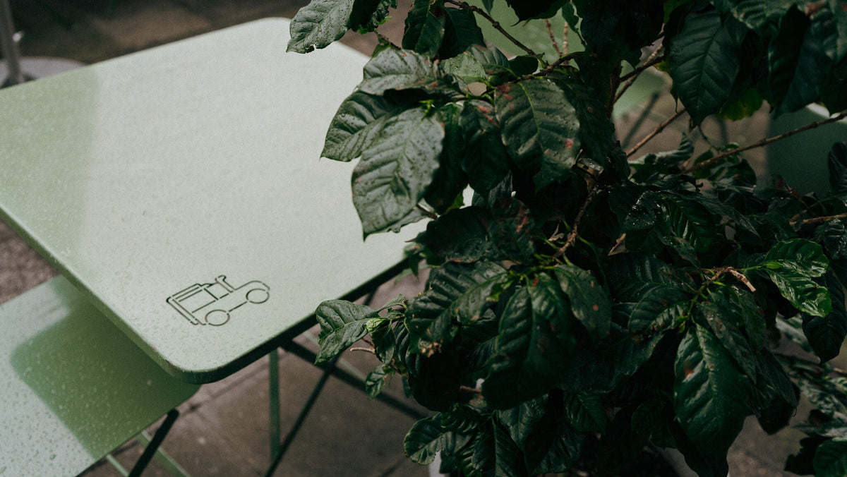 Concurso de triangulación sensorial en Exploradores de Café