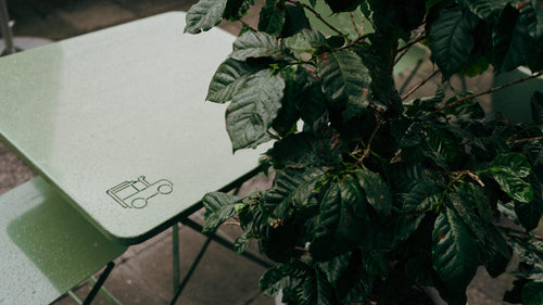 Concurso de triangulación sensorial en Exploradores de Café