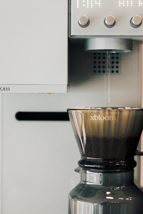 Taller de métodos de filtrado en Exploradores de Café