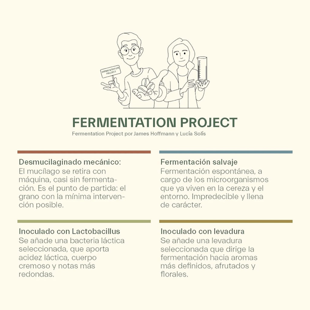 The Fermentation Project - James Hoffmann x Lucía Solís | Kit de Cata