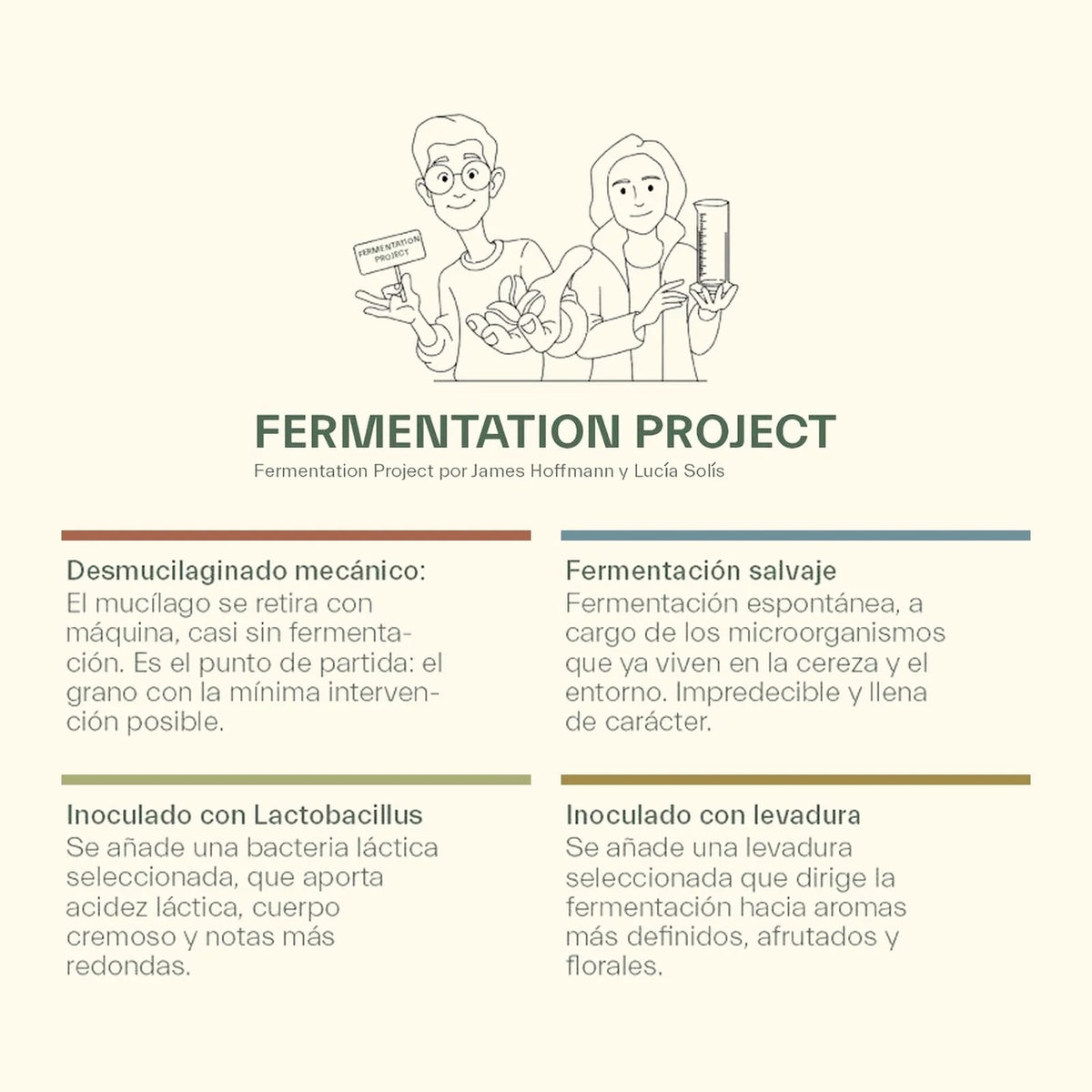 The Fermentation Project - James Hoffmann x Lucía Solís | Kit de Cata