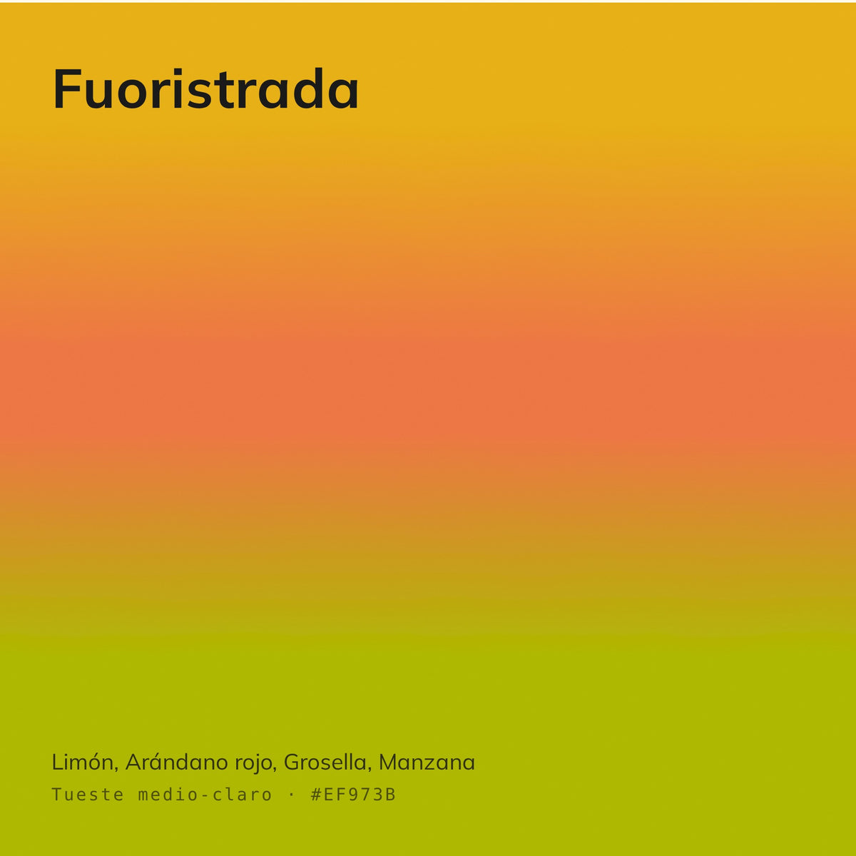 Fuoristrada - Café Calidad Especialidad Estilo Frutal | 1 kg