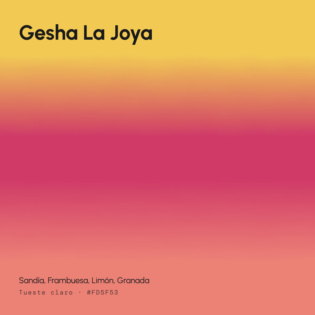 Gesha La Joya - Café de Especialidad en Lata | 125 g