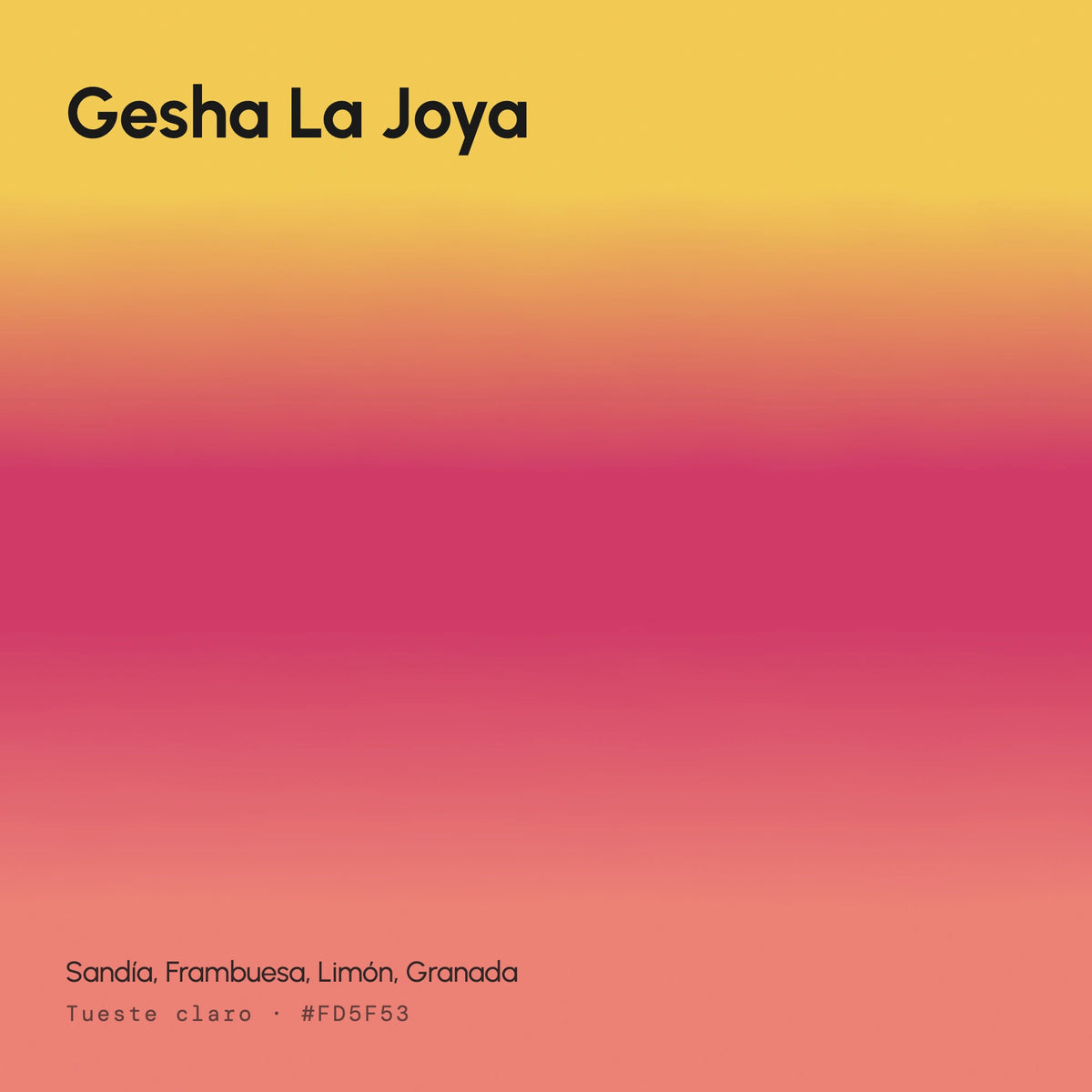 Gesha La Joya - Café de Especialidad en Lata | 125 g