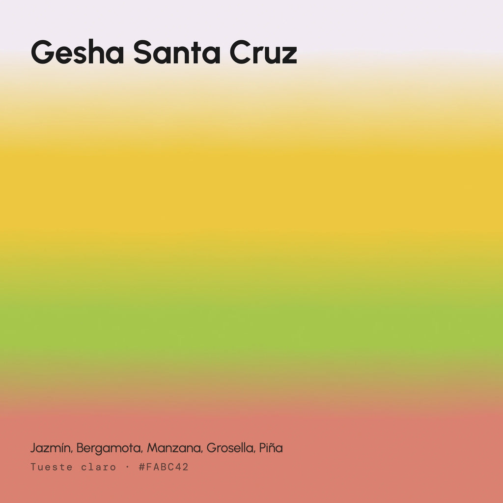 Gesha Santa Cruz - Café de Especialidad en Lata | 125 g