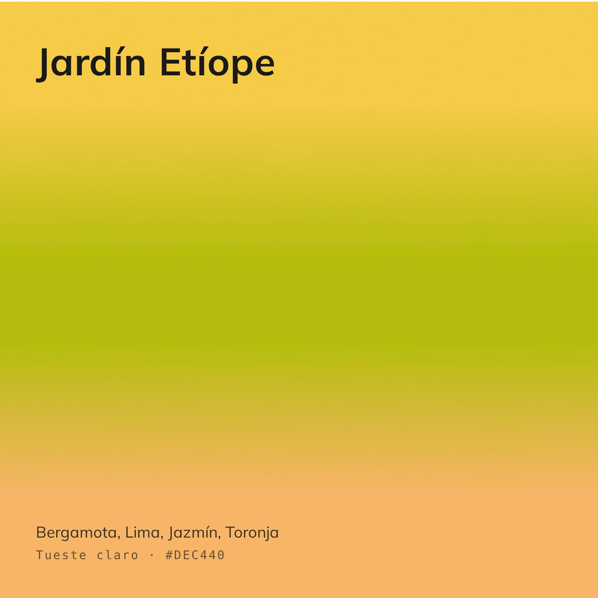 Jardín Etíope - Café Especialidad Estilo Moderno | 250 g y 1 kg