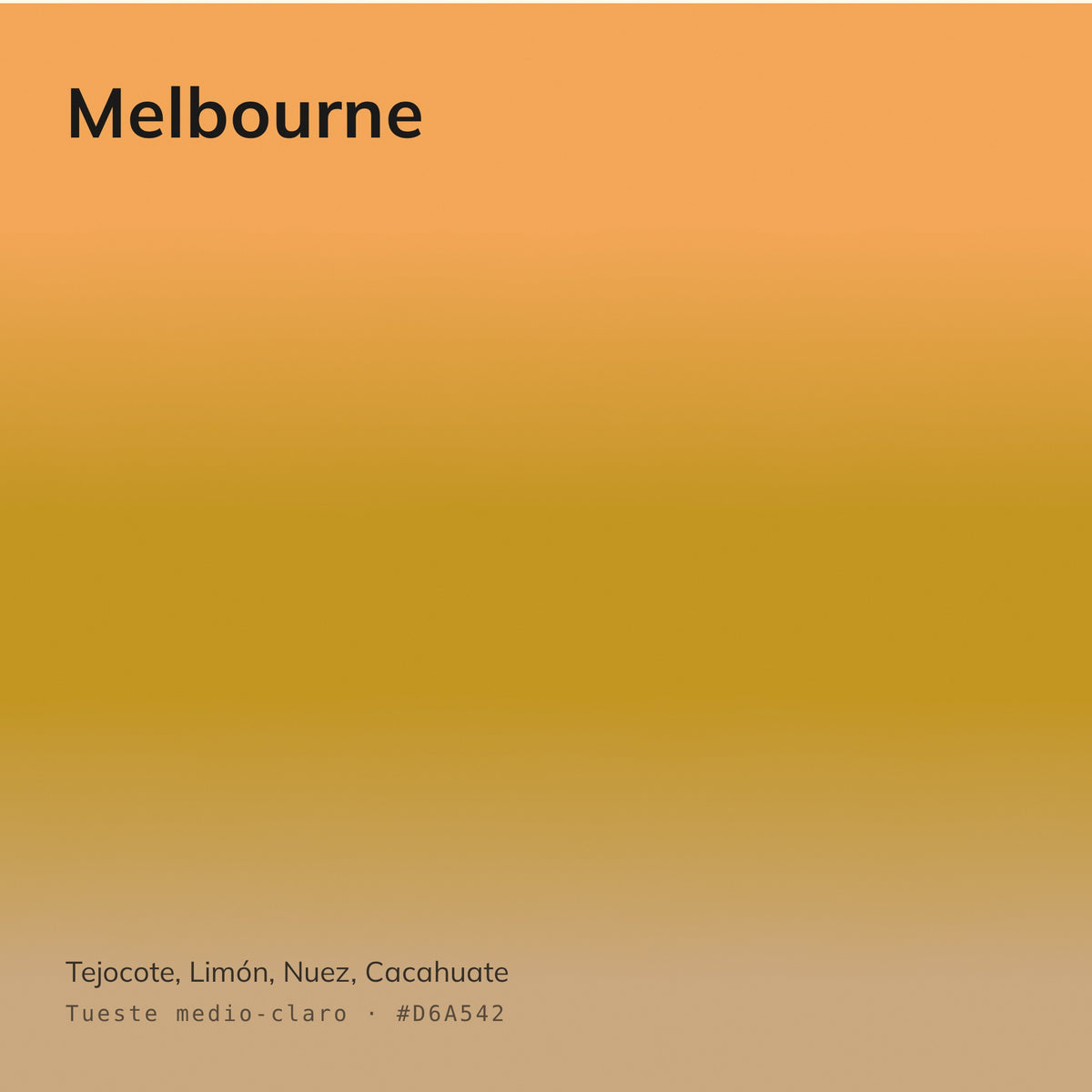 Melbourne - Café Calidad Especialidad Estilo Moderno | 1 kg