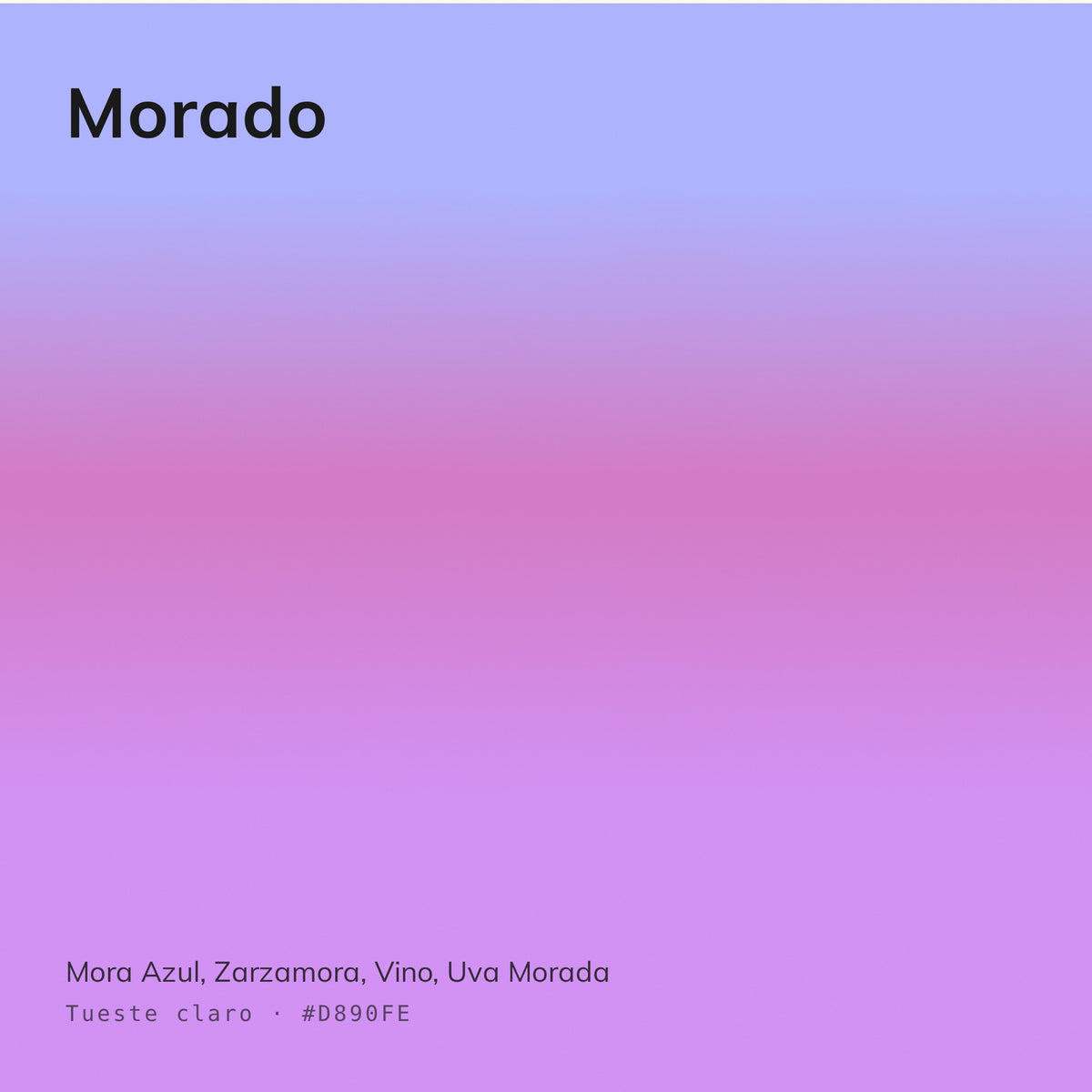 Morado - Café Calidad Especialidad Estilo Nórdico | 250 g y 1 kg