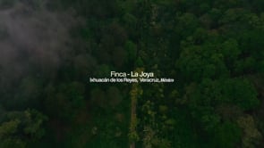 Gesha La Joya - Café de Especialidad en Lata | 125 g